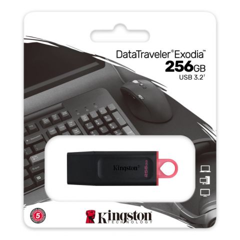 Kingston pen drive 256gb datatraveler Exodia 3.2